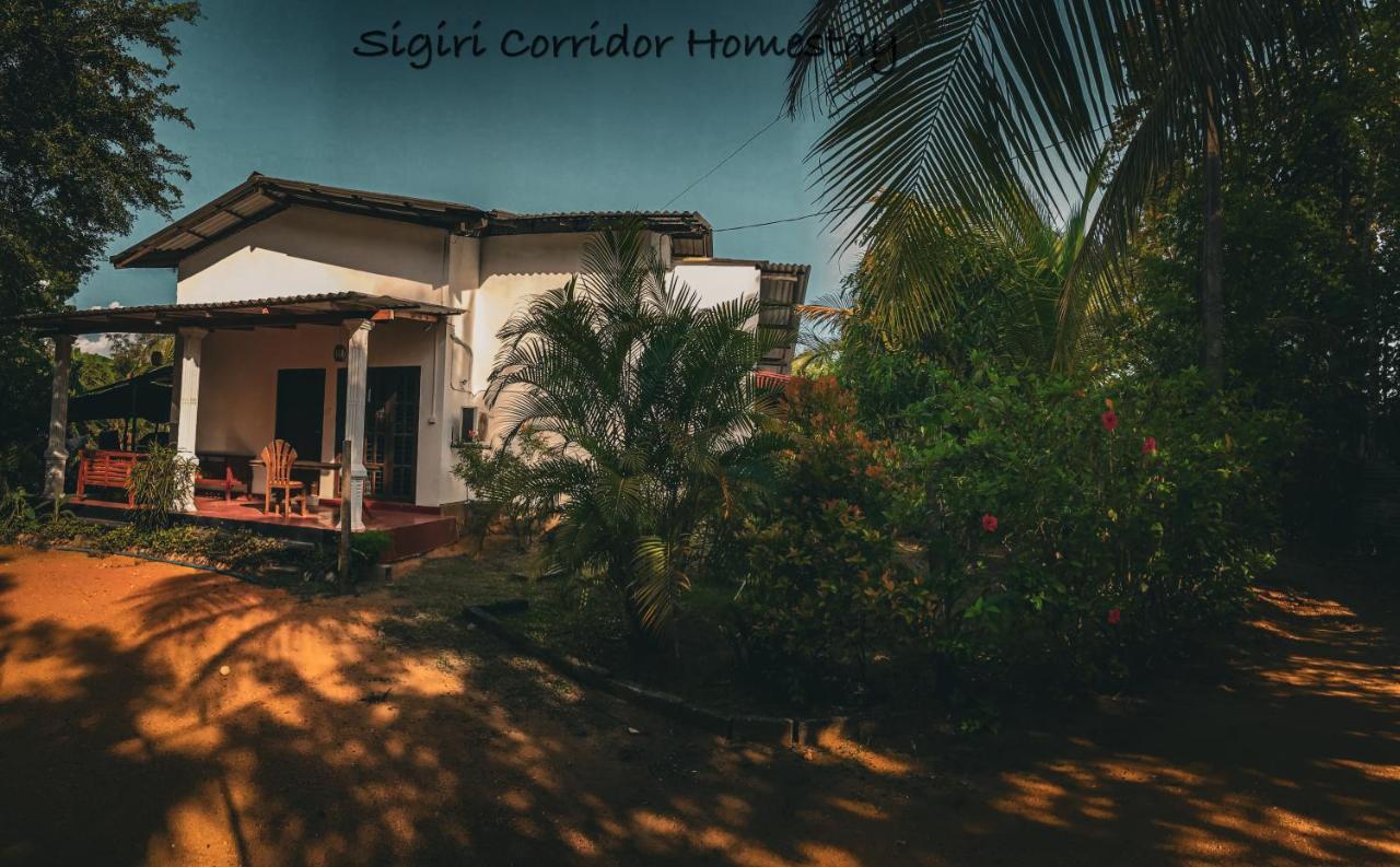 Sigiri Corridor Home Stay سيغيرِيا المظهر الخارجي الصورة